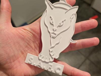 SAFC Sunderland Black Cat