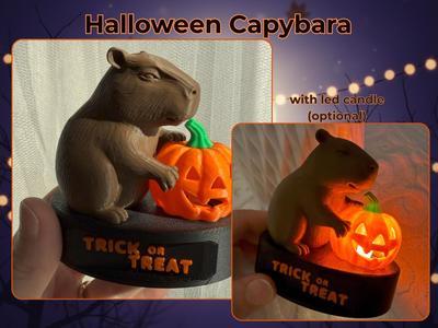 Halloween Capybara with Pumpkin