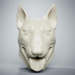 Bull Terrier Head