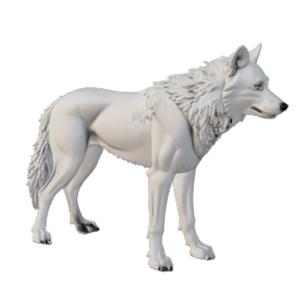 Realistic Wolf