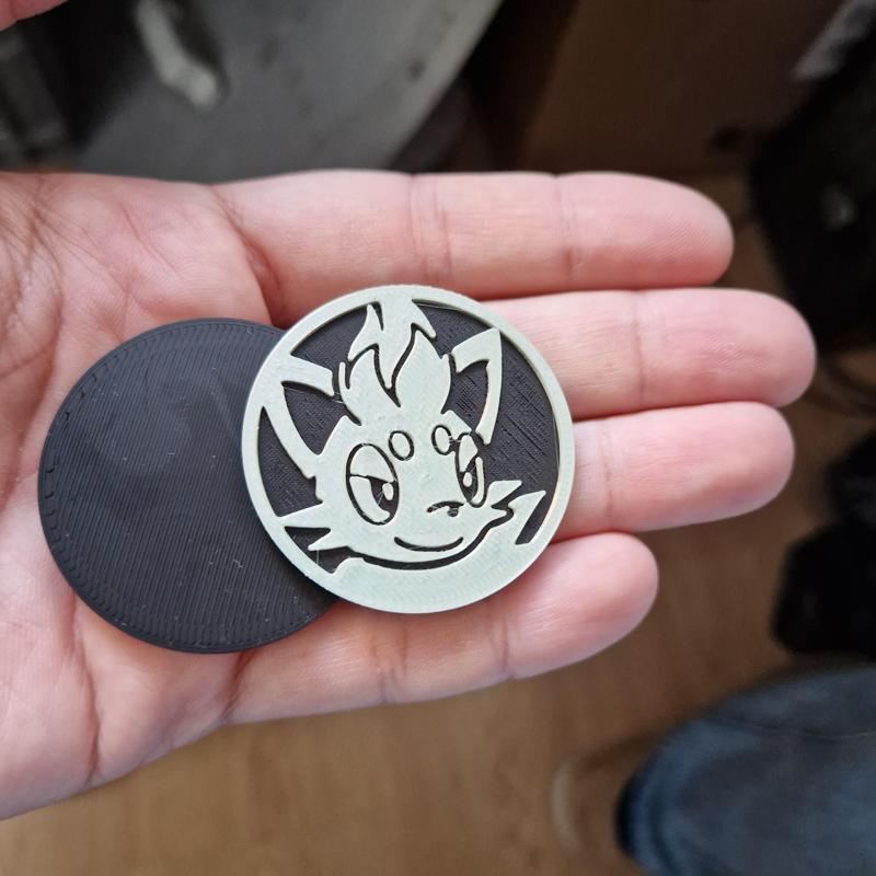 Zorua Pokemon Coin