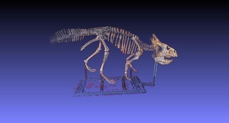 Protoceratops at the ROM