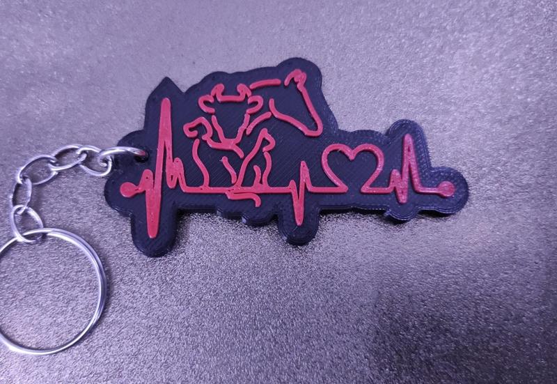 keychain veterinary