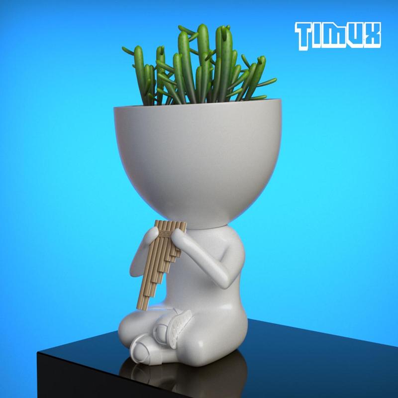 ROBERT PLANT PLAYING A ZAMPOÑA