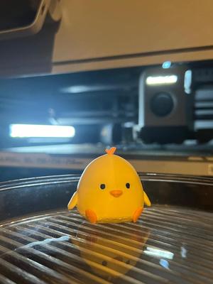 Little lovely chick keychain