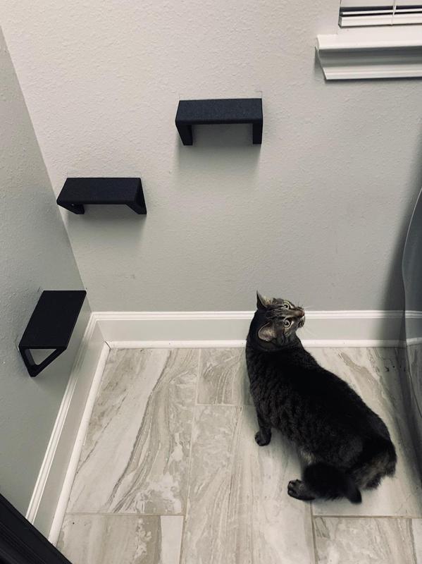 Floating Cat Stairs
