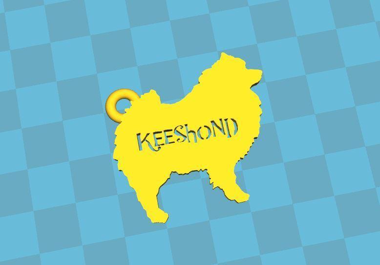 key chain Keeshond Llavero keeshond 