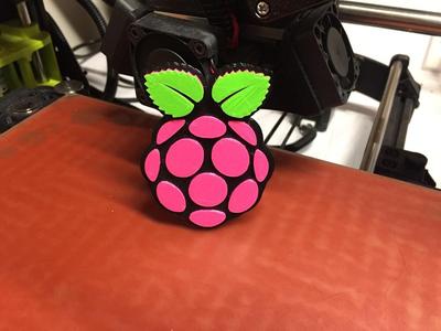 Raspberry Pi Logo