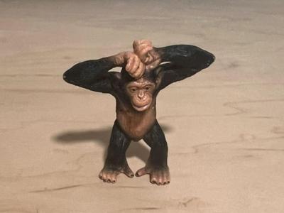Monkey