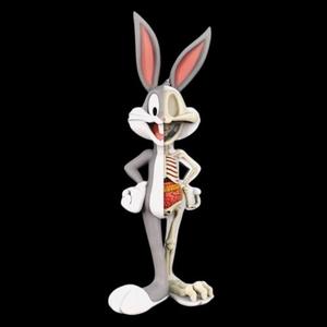 Bugs bunny skeleton