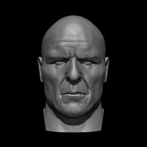 Hank Schrader Bust - Breaking Bad 3D Printable Model