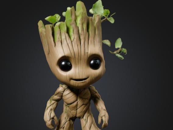 Groot