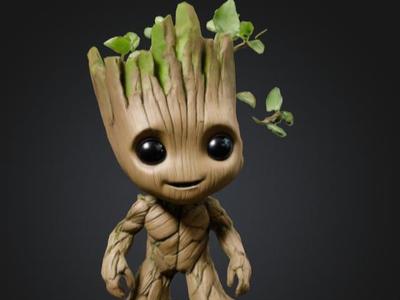 Groot