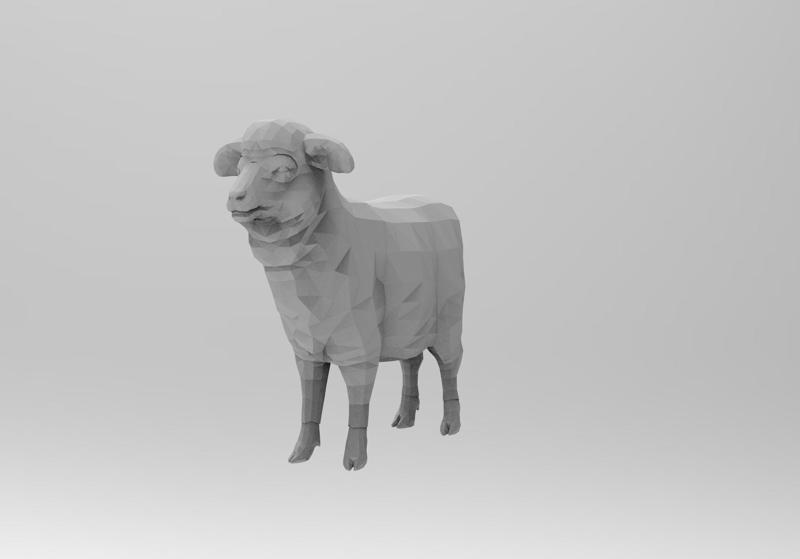 SHEEP