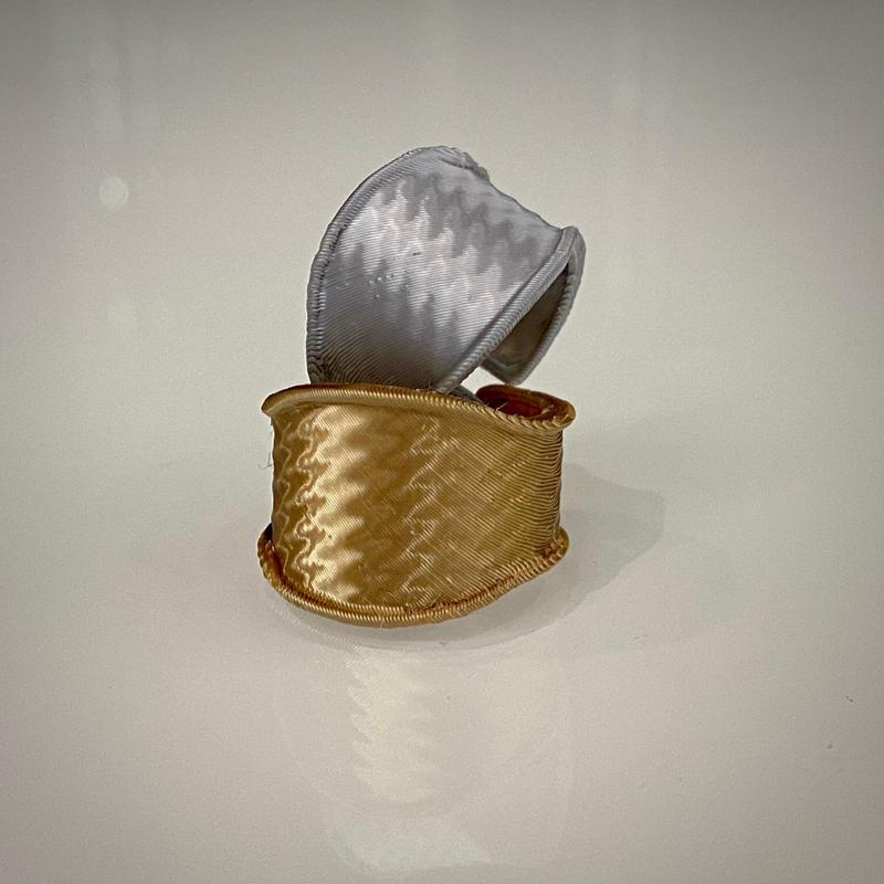💍 Shiny Golden & Silver Ring – 3D Printed Jewelry Glow ✨