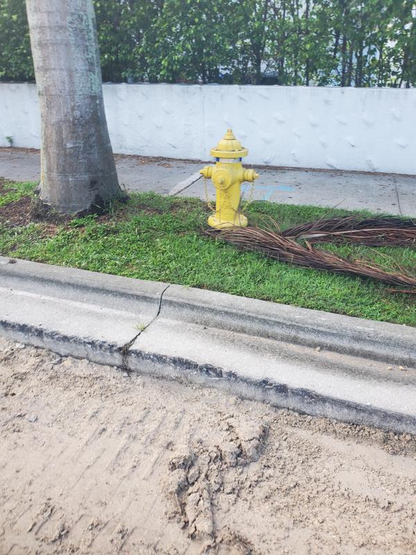 1:16 Hydrant