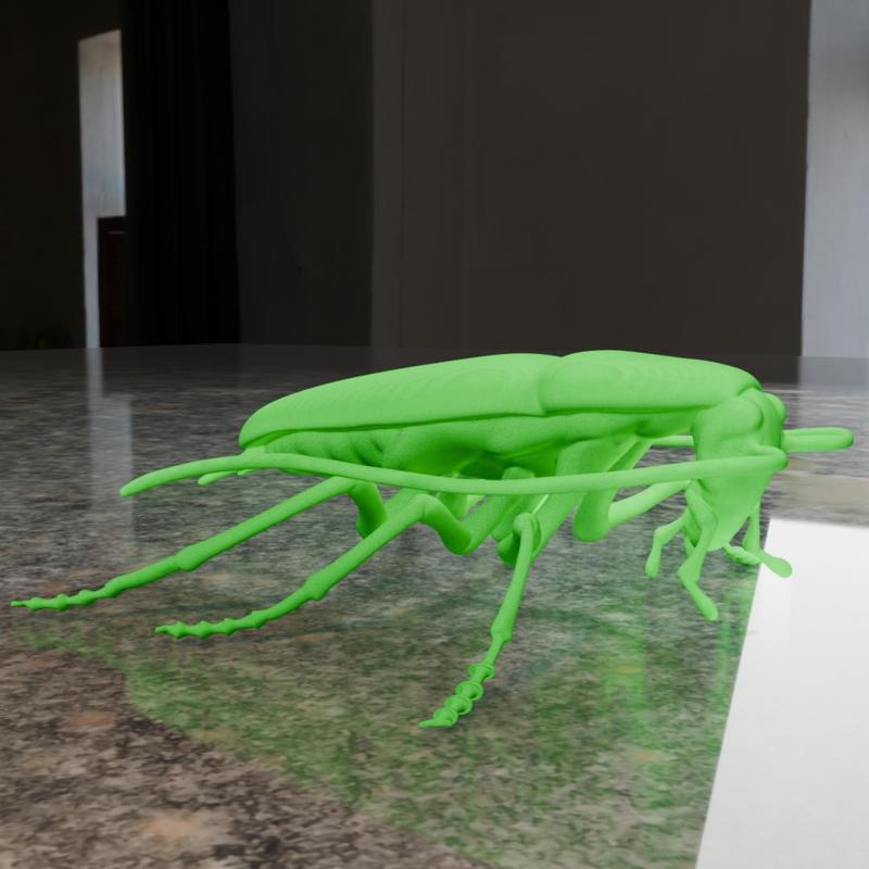 INSECTS X4 - COCKROACH BEETLE GRASSHOPPER GRASSHOPPER HARLEQUIN