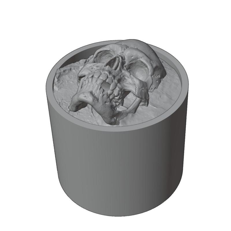 SKULL HEAD - GSW GREEN STUFF WORLD BOTTLE SWATCH CAP - 17ML & 60ML