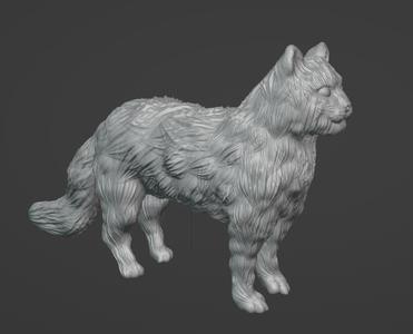 Maine coon cat figure