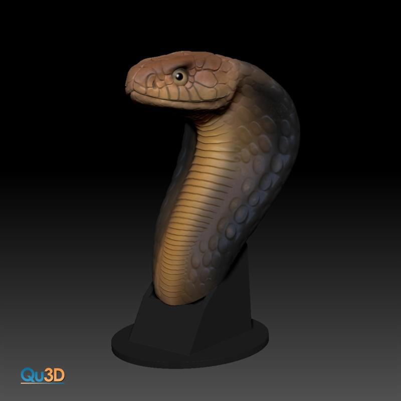 Ophiophagus hannah-king cobra snake