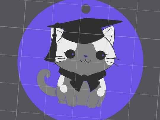 Graduation Cat