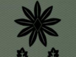 South Korea army colonel insignia