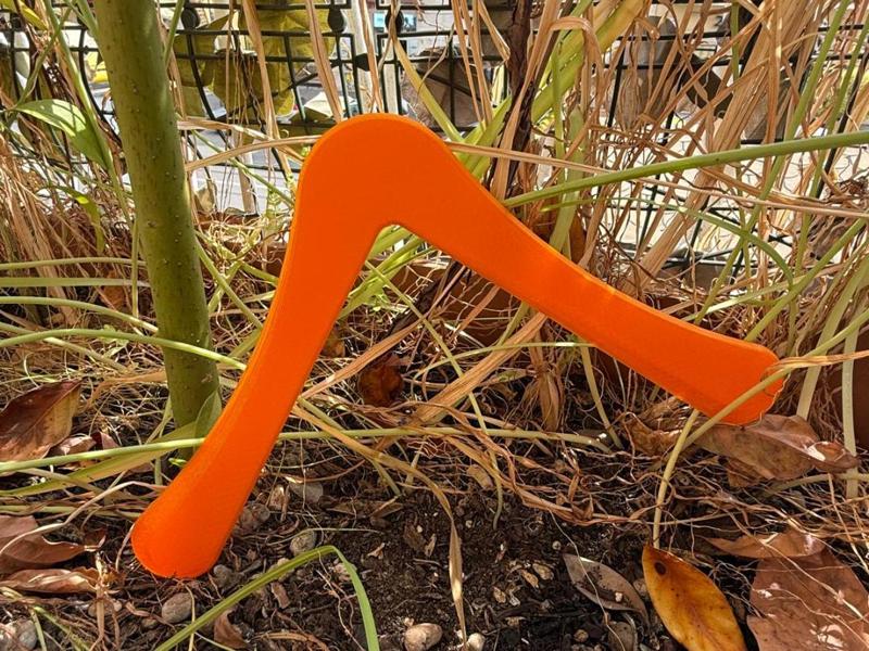 Boomerang a new hope back