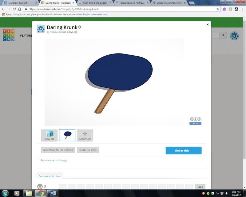 Ping Pong Paddle