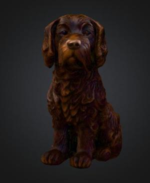Labradoodle Chocolate Lab mixed with a large poodle