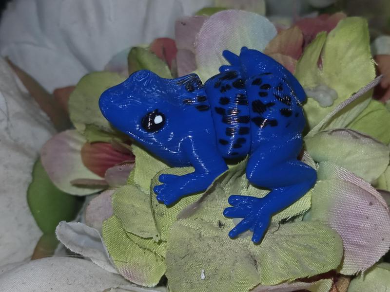 articulated poison dart frog