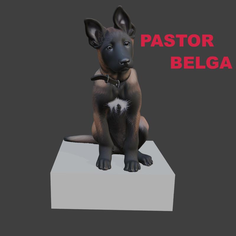 Belgian Shepherd Puppy