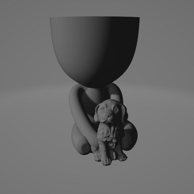 Robert Perro- Robert mascota-Robert cachorro- Puppy Robert