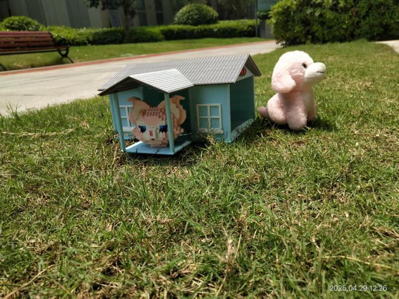 American Pet Clubhouse