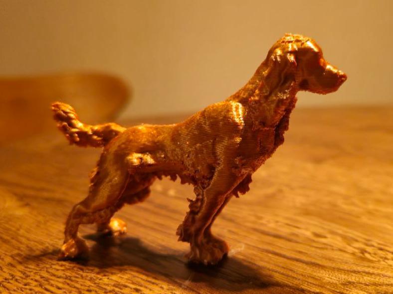 Cocker Spaniel