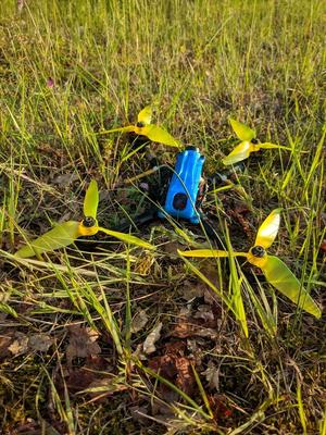 Canopy for Flightclub Proton