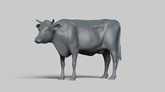 cow pose 02