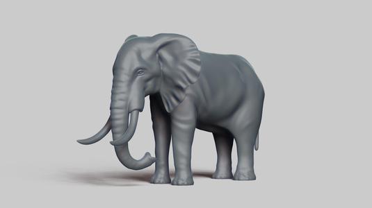 african elephant pose 01