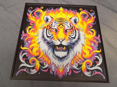Colorful Tiger 2