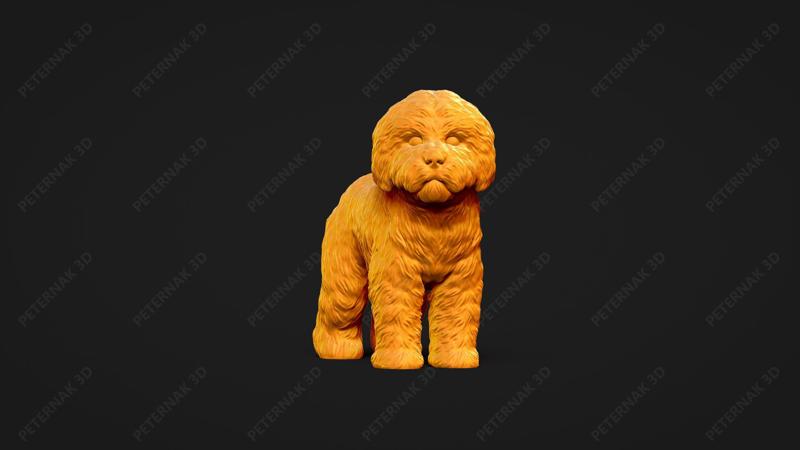 Bolognese Dog 3D Print Model Pose 03