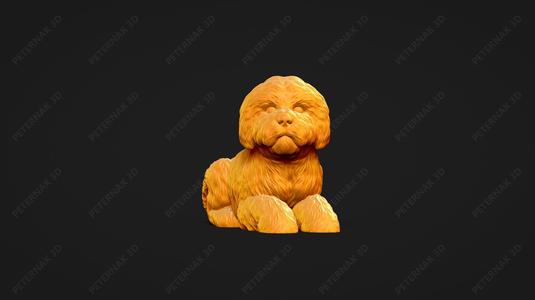 Bolognese Dog 3D Print Model Pose 09