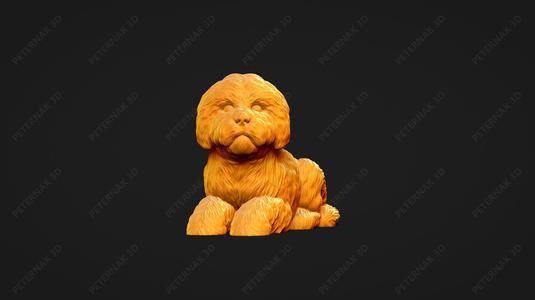 Bolognese Dog 3D Print Model Pose 08