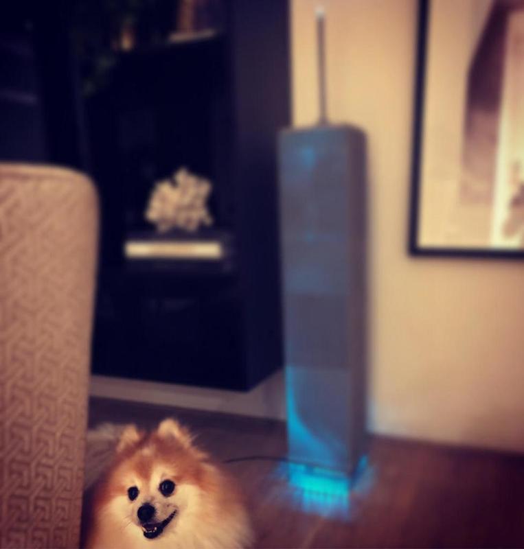 World trade center Twin towers