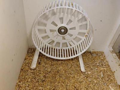 Pet Treadmill Rooster Chicken Hamster Wheel