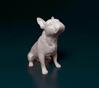 French Bulldog