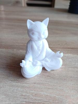 Cat in lotus / meditation position