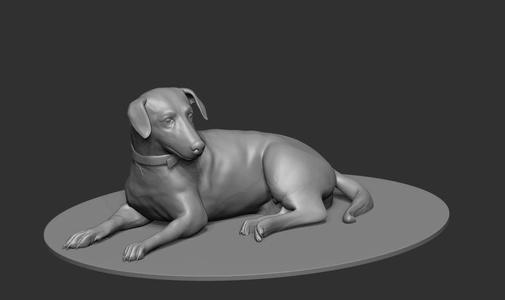 Rajapalayam dog, dog