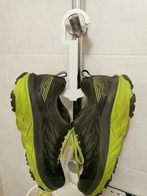 shoedryer