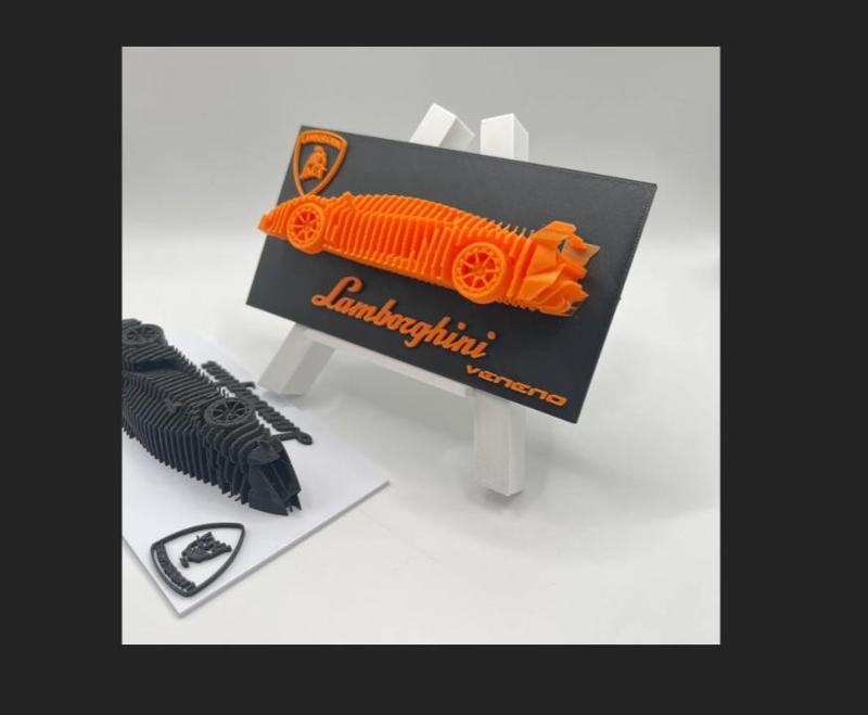 Lamborghini Veneno Plate