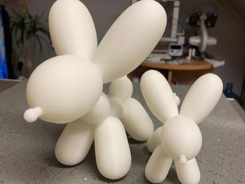 big balloon dog