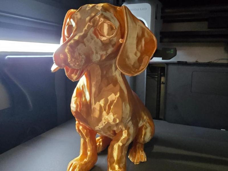 Miniature Dachshund sausage dog   